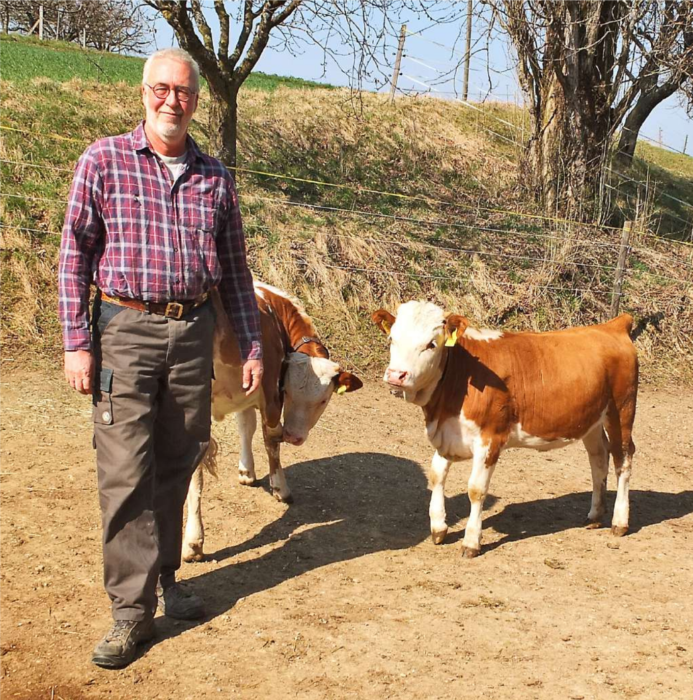 Von stolzen Kühen und krummen Rüebli