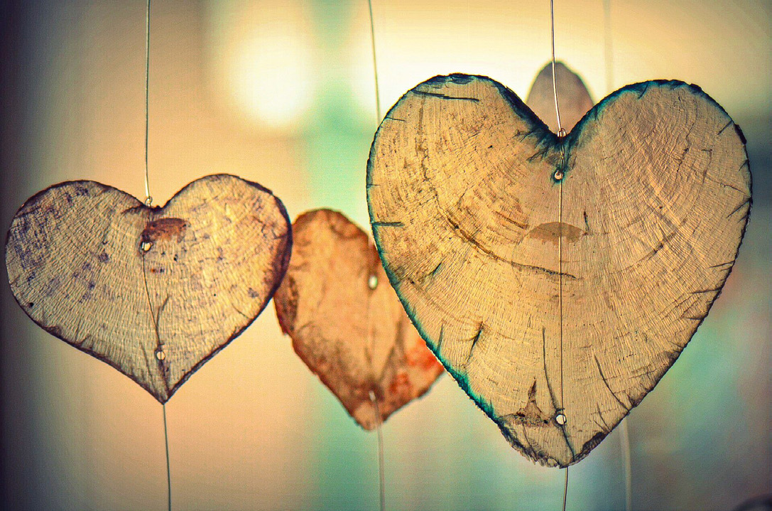 Die Liebe feiern