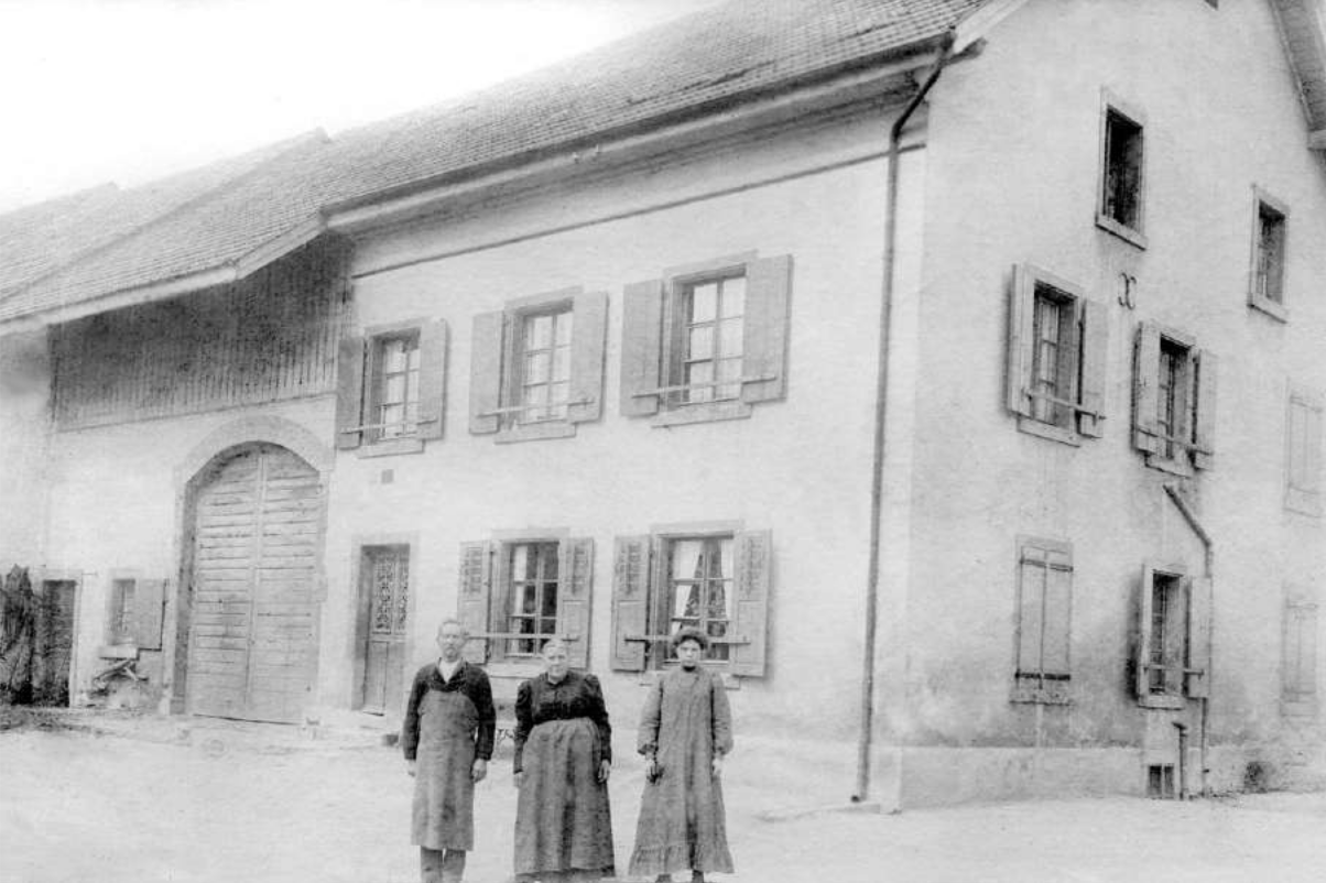 RÜCKSPIEGEL