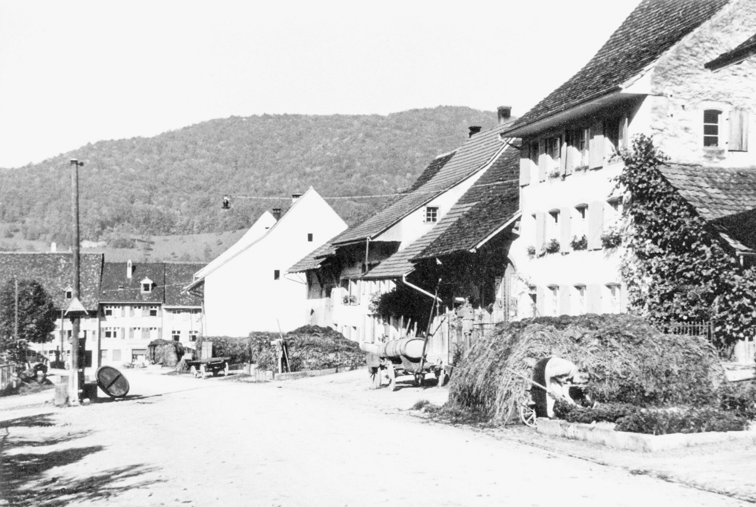 RÜCKSPIEGEL