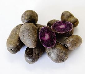 Blauer Kartoffelstock