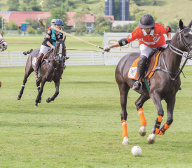 Polosport erstmals im Baselbiet