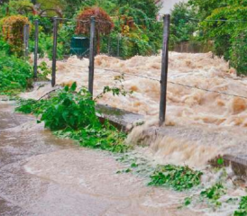 Wie das Hab und Gut vor dem Wasser schützen?