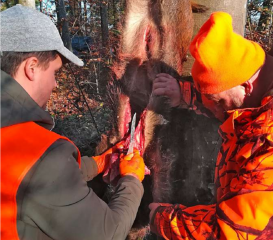 Eine Stunde ansitzen für ein Kilo Wildsau